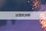 法国国家队国际正式比赛战绩为827场403胜173平251负