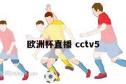 欧洲杯直播 cctv5