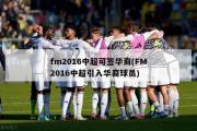 fm2016中超可签华裔(FM2016中超引入华裔球员)