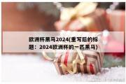 欧洲杯黑马2024(重写后的标题：2024欧洲杯的一匹黑马)