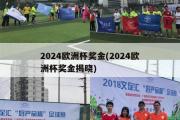 2024欧洲杯奖金(2024欧洲杯奖金揭晓)