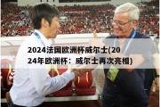 2024法国欧洲杯威尔士(2024年欧洲杯：威尔士再次亮相)