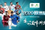 欧洲杯2024年：东道主场馆建设高速推进，足球盛宴倒计时