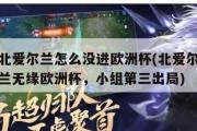 北爱尔兰怎么没进欧洲杯(北爱尔兰无缘欧洲杯，小组第三出局)