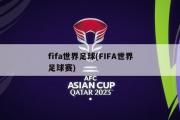 fifa世界足球(FIFA世界足球赛)