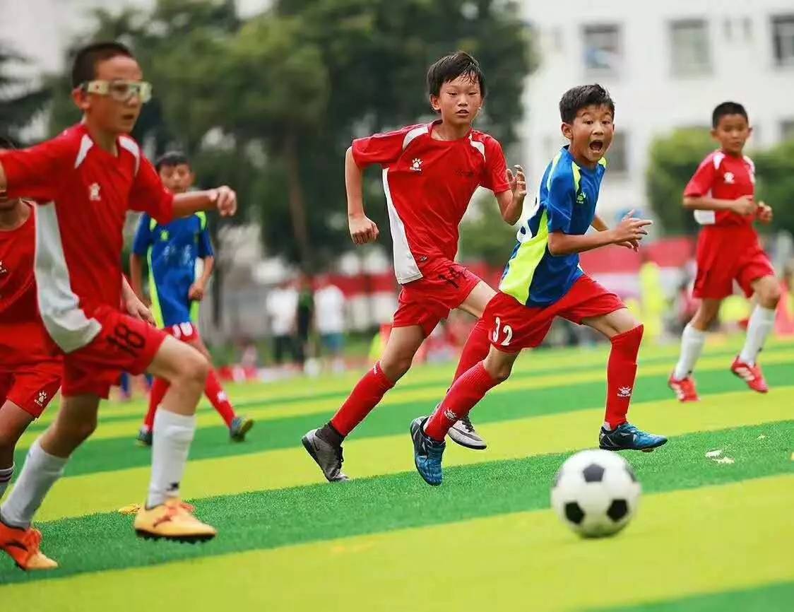 同国球队会根据近10年的表现瓜分一部分本地电视转播市场份额