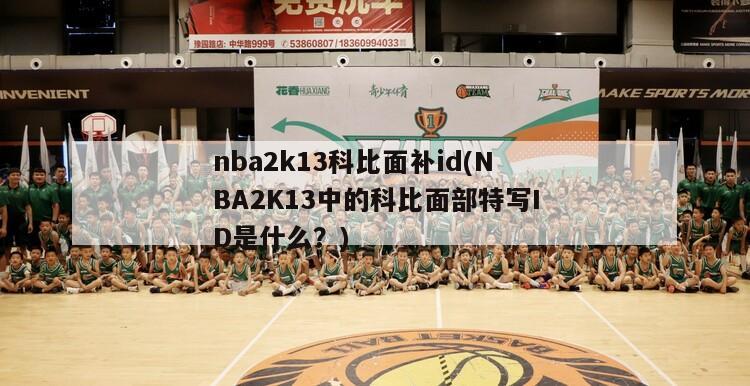 nba2k13科比面补id(NBA2K13中的科比面部特写ID是什么？)