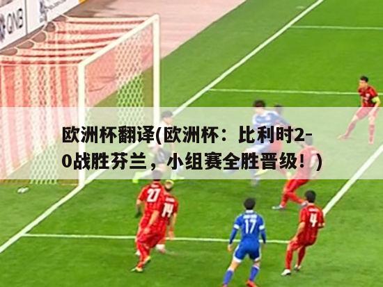 欧洲杯翻译(欧洲杯：比利时2-0战胜芬兰，小组赛全胜晋级！)