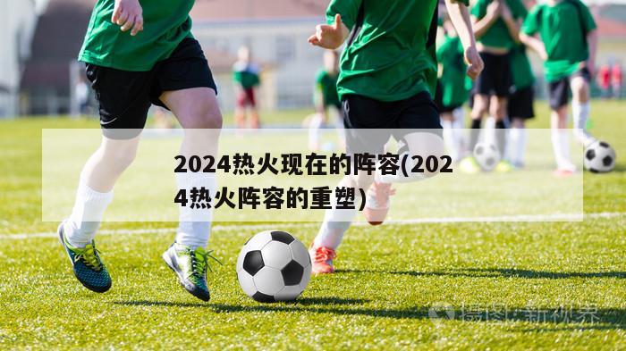 2024热火现在的阵容(2024热火阵容的重塑)