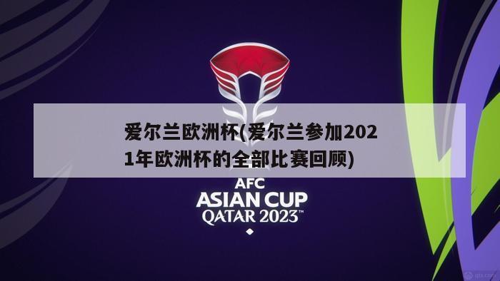 爱尔兰欧洲杯(爱尔兰参加2021年欧洲杯的全部比赛回顾)