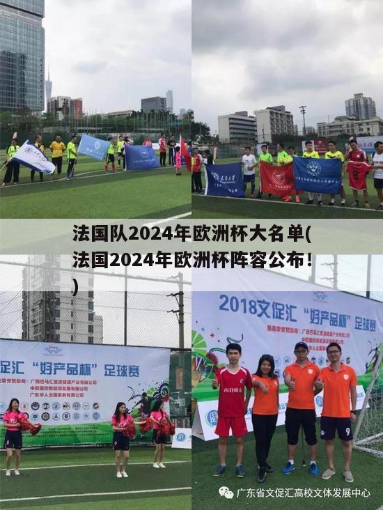 法国队2024年欧洲杯大名单(法国2024年欧洲杯阵容公布！)