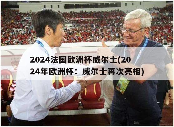 2024法国欧洲杯威尔士(2024年欧洲杯：威尔士再次亮相)