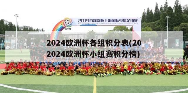 2024欧洲杯各组积分表(202024欧洲杯小组赛积分榜)