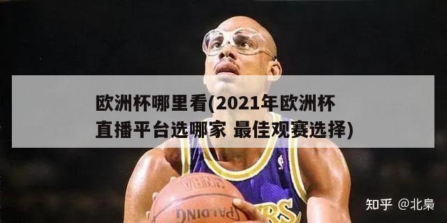 欧洲杯哪里看(2021年欧洲杯直播平台选哪家 最佳观赛选择)