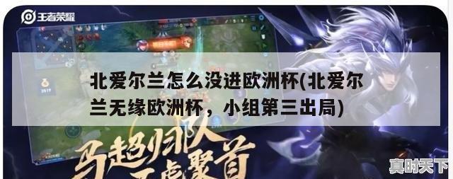 北爱尔兰怎么没进欧洲杯(北爱尔兰无缘欧洲杯，小组第三出局)