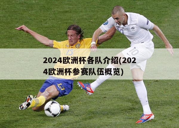 2024欧洲杯各队介绍(2024欧洲杯参赛队伍概览)